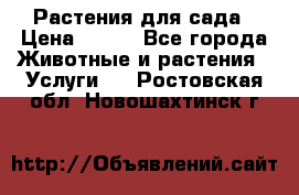 Растения для сада › Цена ­ 200 - Все города Животные и растения » Услуги   . Ростовская обл.,Новошахтинск г.